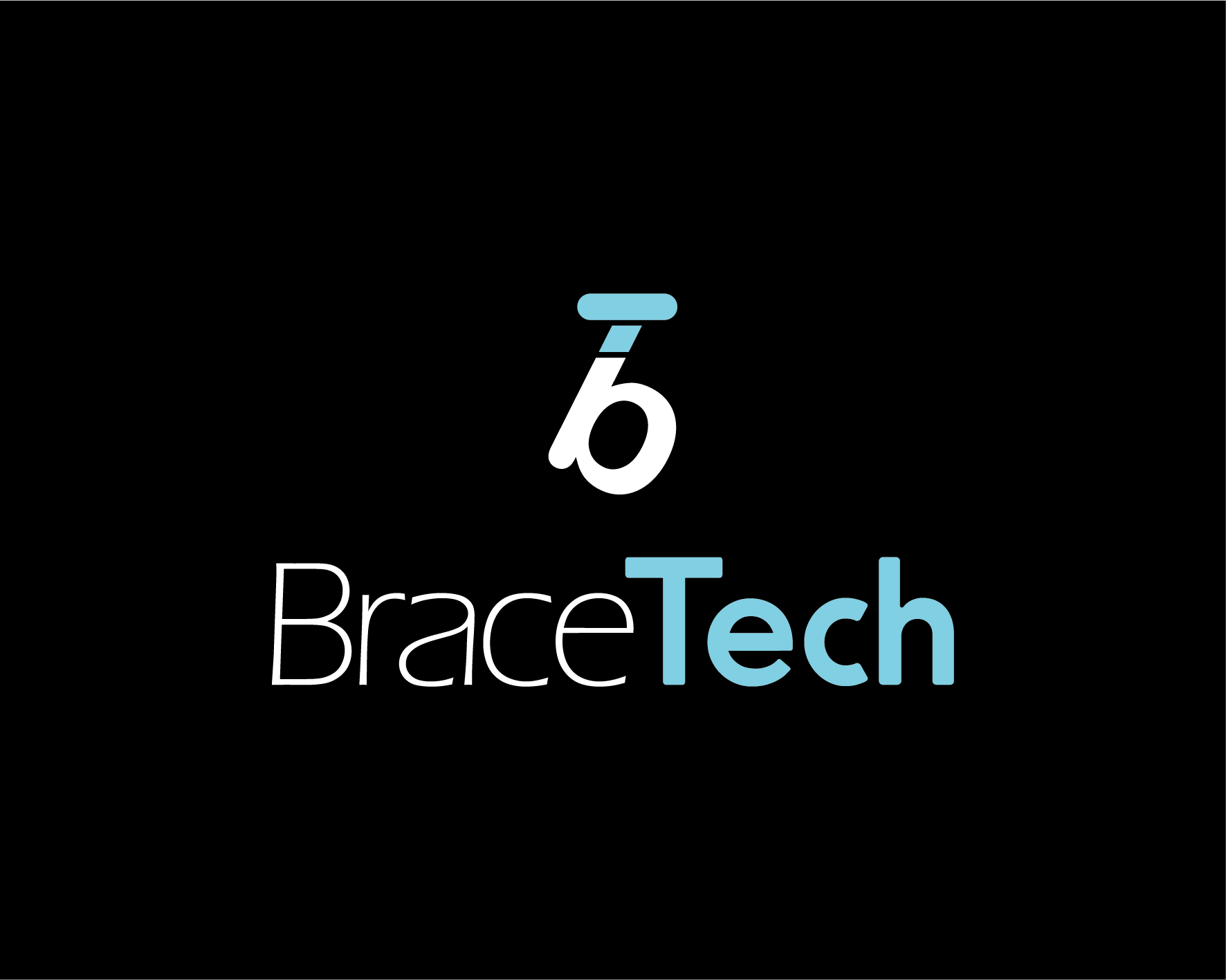 Who are bracetech professional IT computing solutions